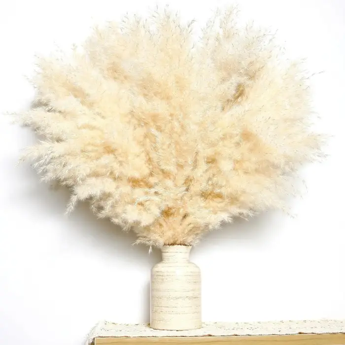 Bouquet de Fleurs de Pampas Sèches Naturelles pour Décoration de Noël