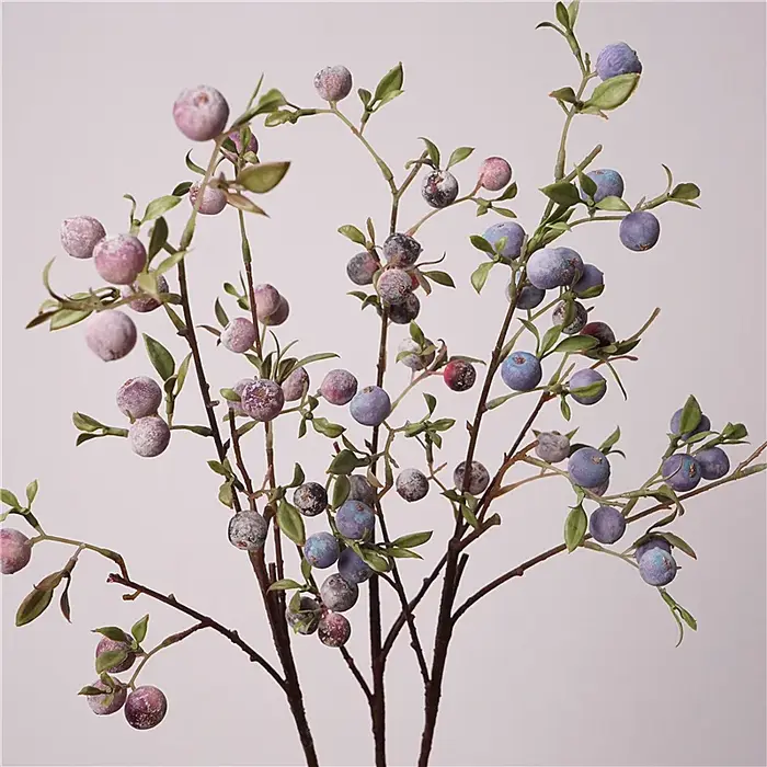 Ornements de fruits de jardinage