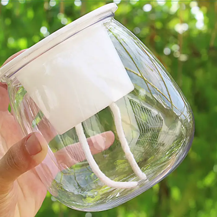Mini Pot rond pour plantes succulentes