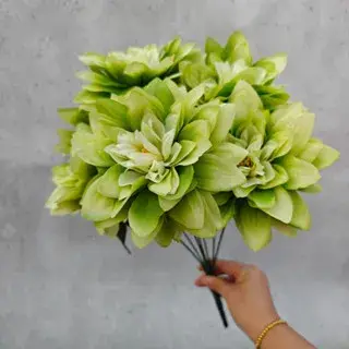 Simulation de fleur Dahlia à 7 têtes de grand diamètre