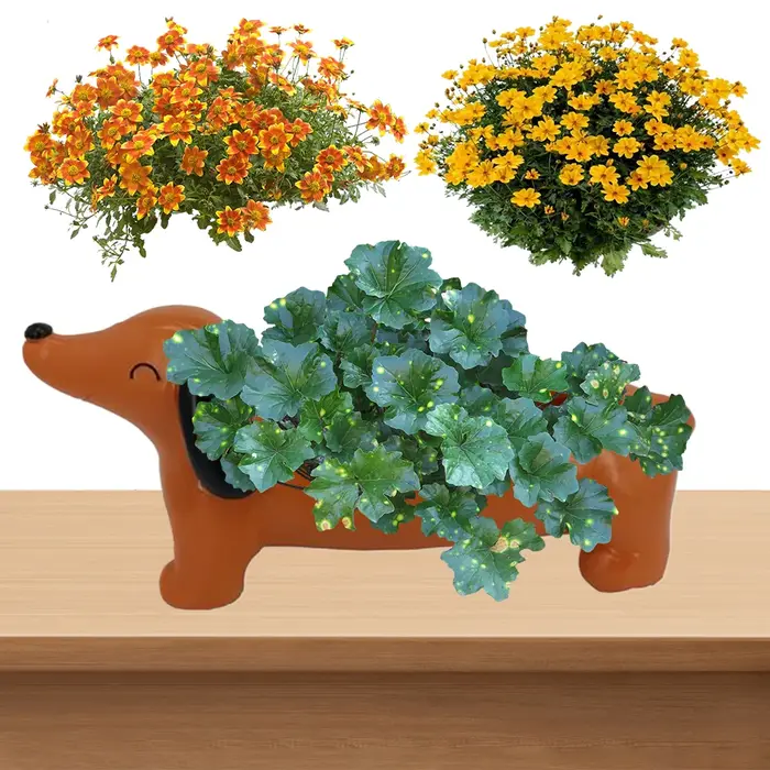 Pot de fleur teckel pour chien