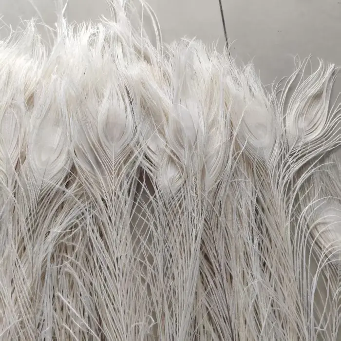 Vente en gros! Belles plumes d'oeil de paon blanc
