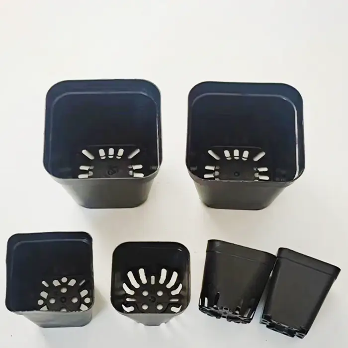 Pots pour semis, pots carrés noirs pour semis