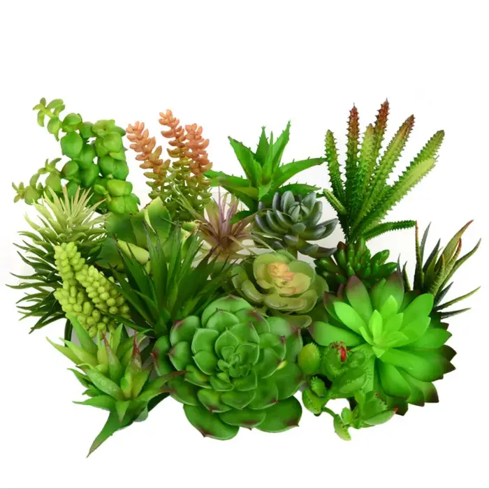 Petites plantes succulentes artificielles en PVC