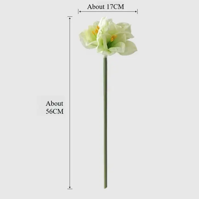 Clivia Amaryllis artificielle à tige unique de 22 pouces pour la décoration florale de la maison, des mariages, de la Saint-Valentin, l'arrangement et l'accentuation
