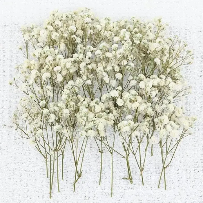 Paquet 50 fausses fleurs gypsophile séchées avec tiges vertes pour bouquets