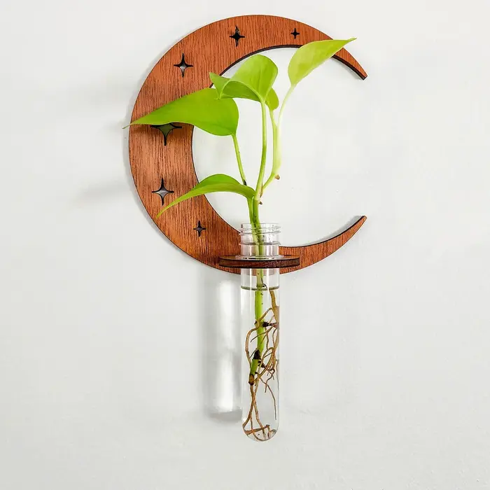 Station de Propagation des plantes