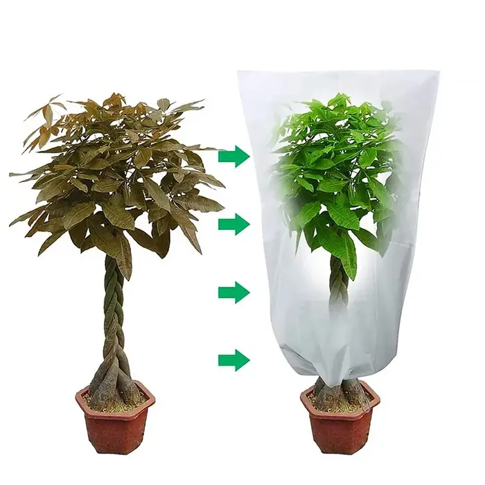 Antigel plante d'hiver couverture chaude