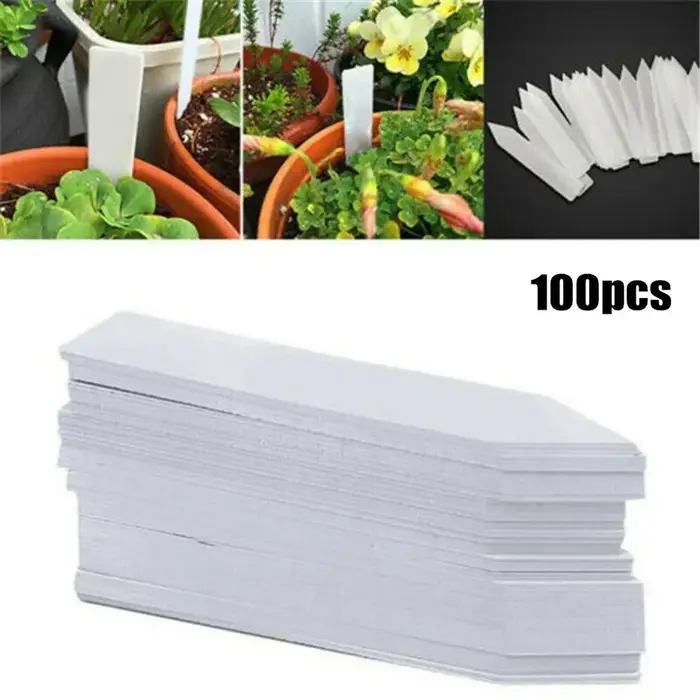 Pot de fleur paresseux, plante à arrosage automatique, planteur pour plantation de fleurs sans sol, bonsaï de table, décoration de jardin pour la maison