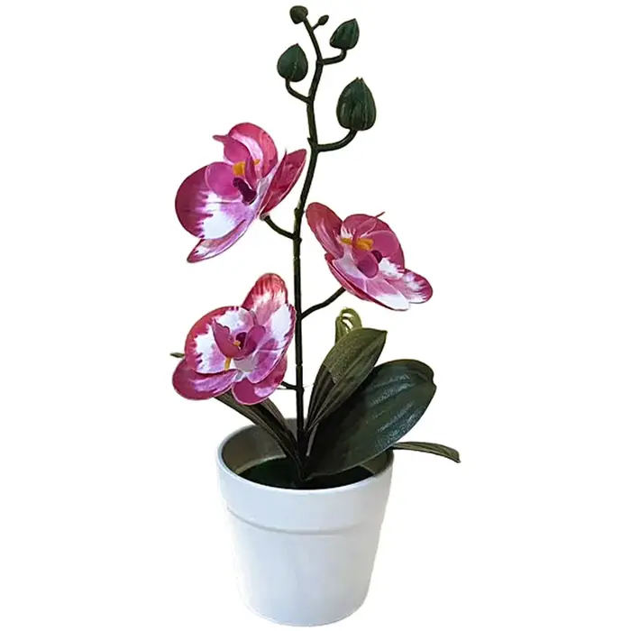 Orchidée artificielle élégante en pot avec forme 3D réaliste