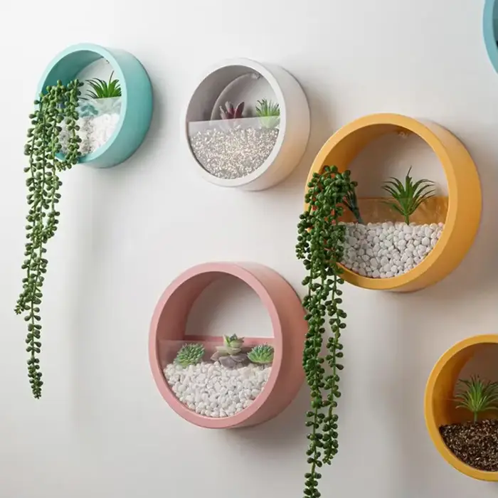 Jardinière succulente ronde