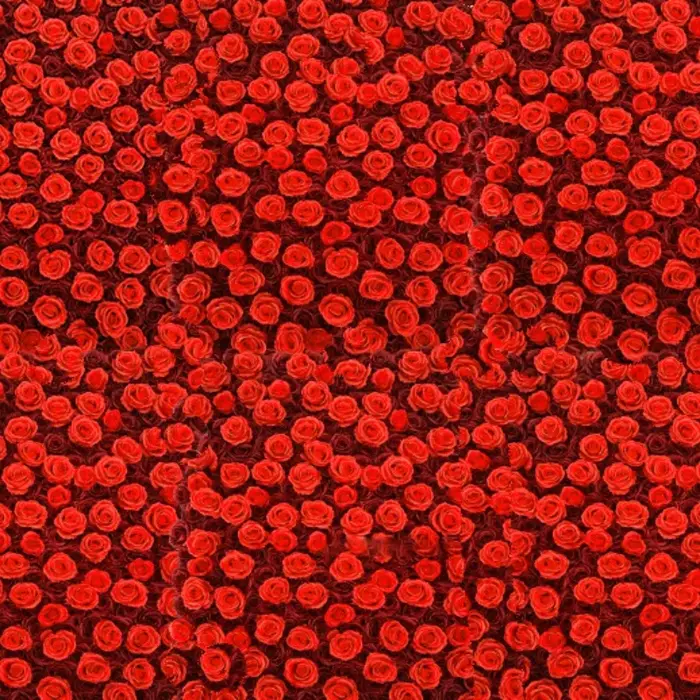 Mur de Roses Artificielles Astronomiques