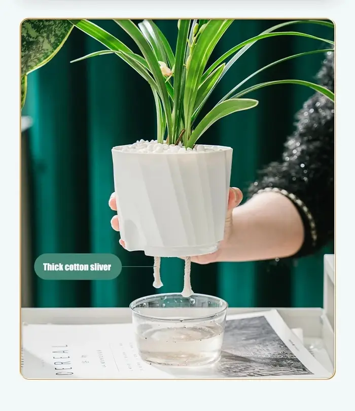 Pot d'arrosage automatique transparent