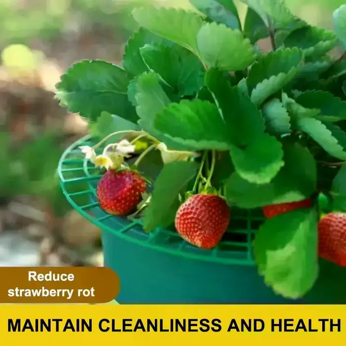 Support pour plantes de fraises avec pieds, support de culture rond en plastique pour garder les baies propres et empêcher la pourriture