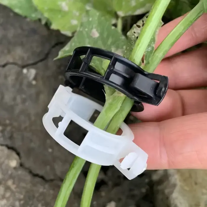 Clips de Support Réutilisables pour Plantes, Outils de Jardin, pour Tomate, Raisin, Vignes, Fruits, 