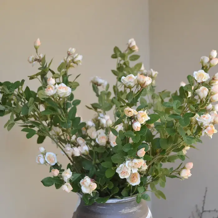 Mini Bouquet de roses, plantes