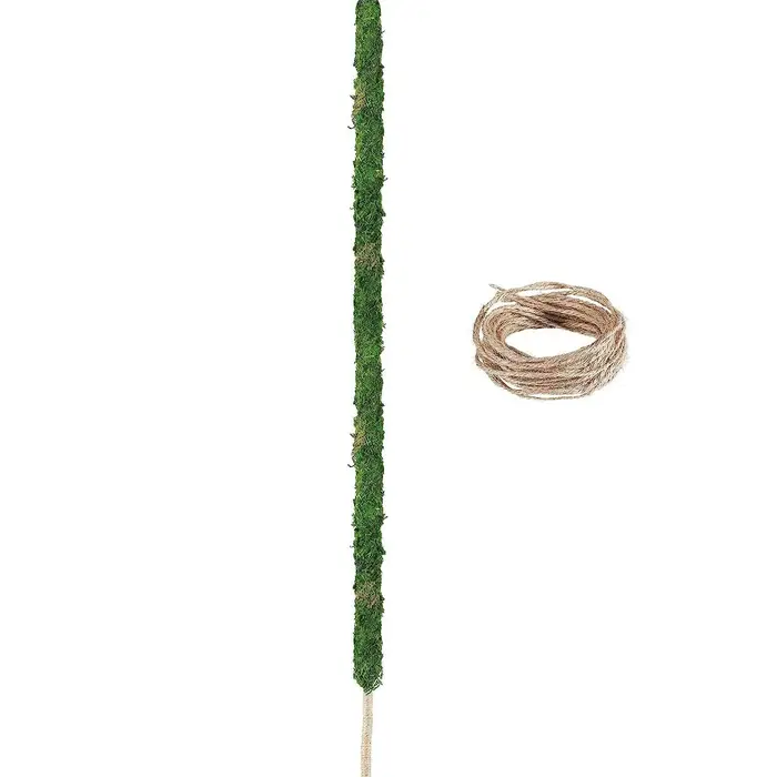 Poteau de mousse pliable pour plantes, 1 pièce, poteaux de mousse Monstera pour plantes grimpantes, 