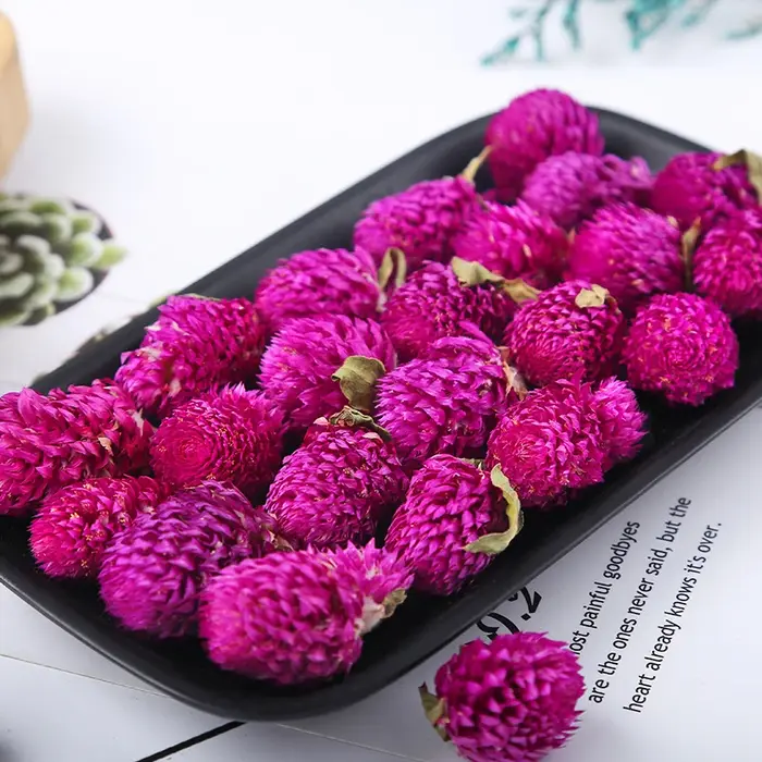 Fleurs séchées de Gomphrena naturelles rouge et violet – Décor de haute qualité pour la fabrication de savon
