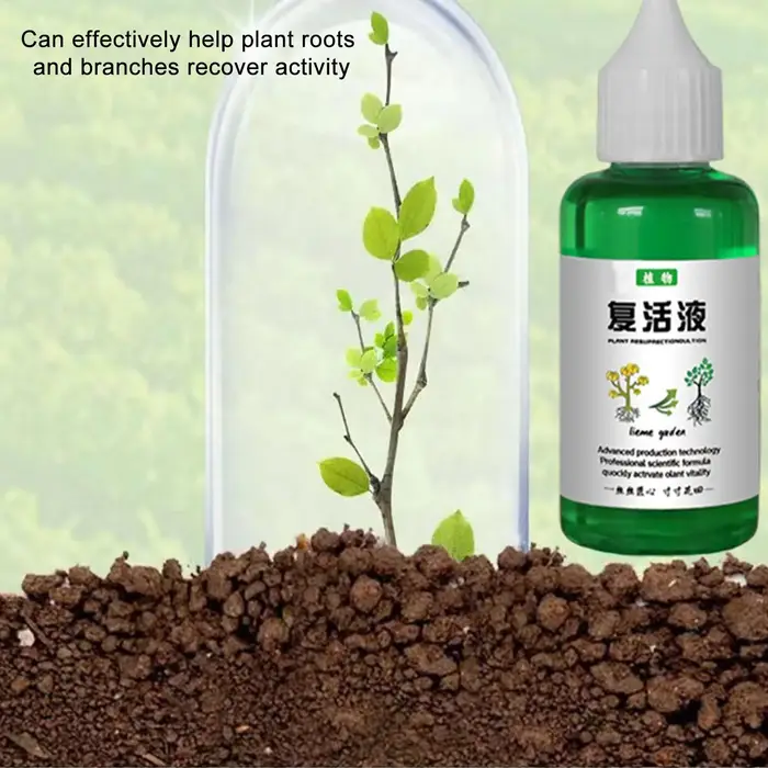 50ml Revitalisant végétal Liquide de résurrection Concentré