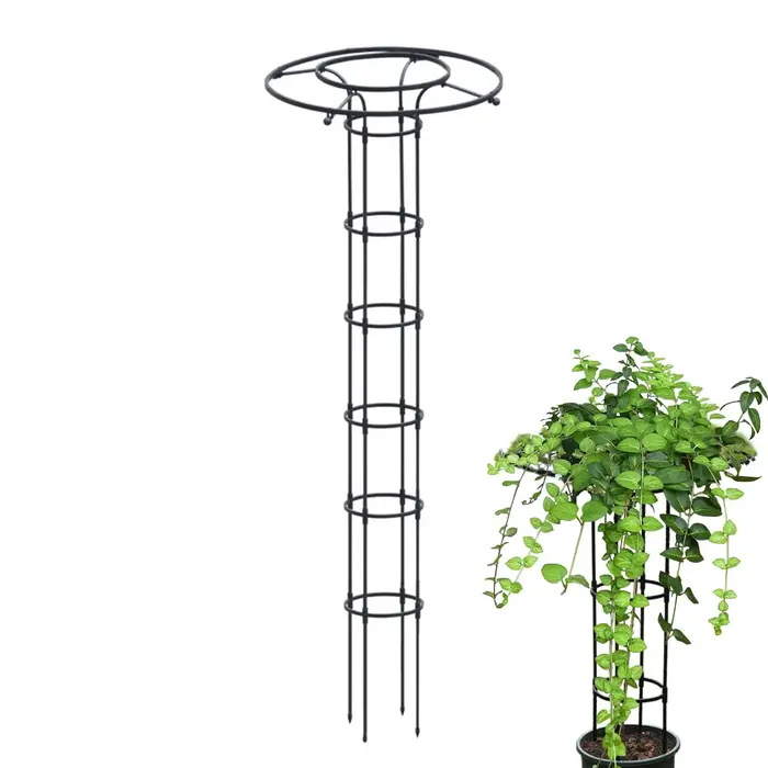 Treillis pour plantes grimpantes