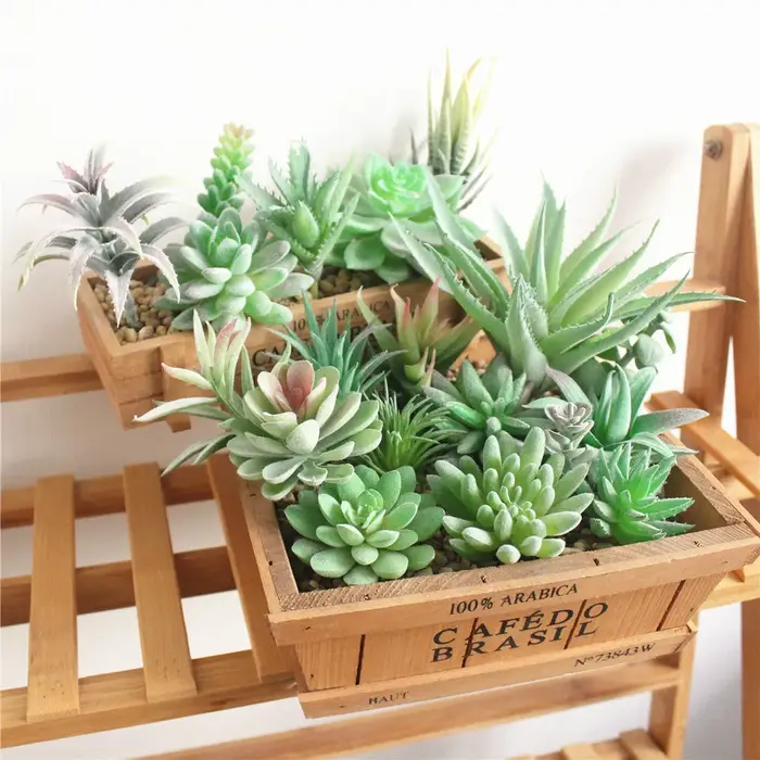 Plantes succulentes artificielles floquées vertes