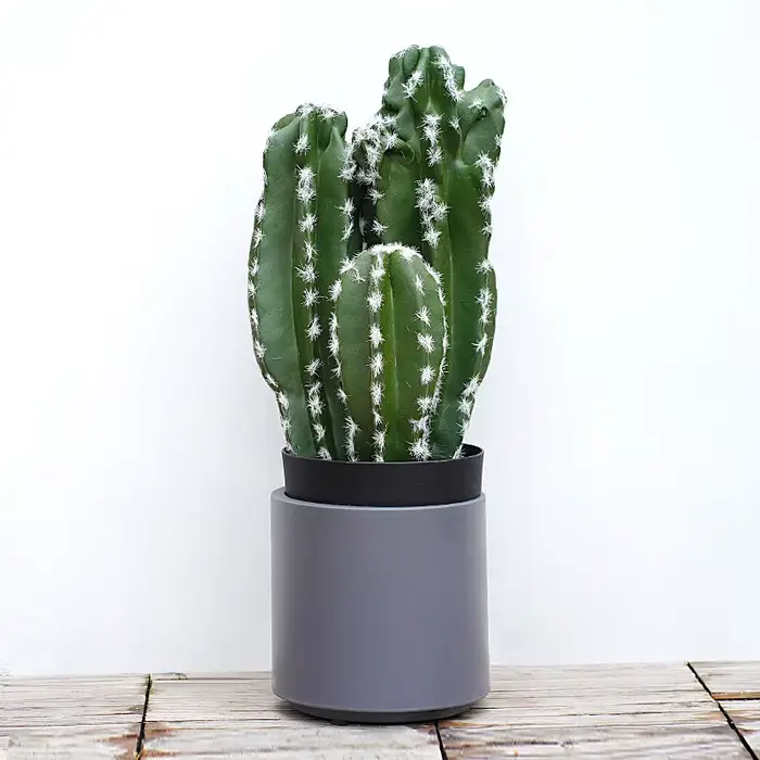 Plante succulente verte tropicale artificielle