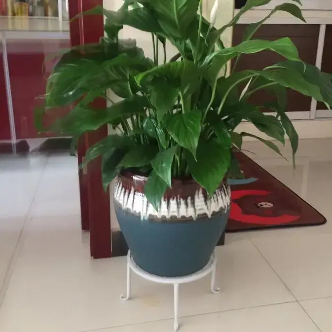 Supports de plantes en fer avec soucoupe