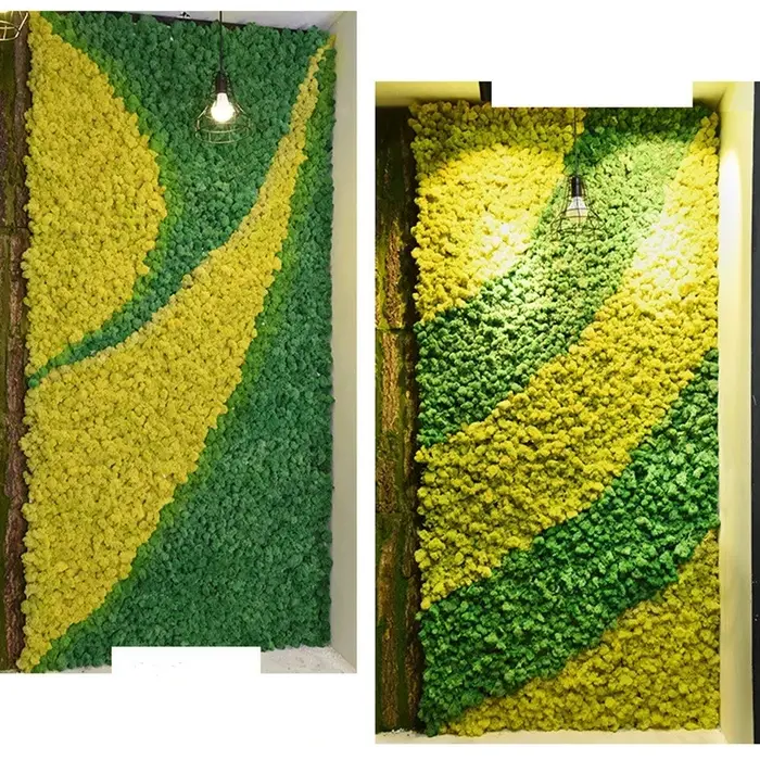 Mousse de plantes artificielles pour la décoration murale de la maison