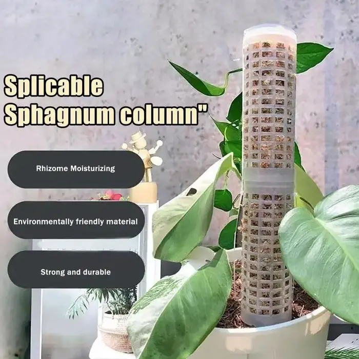 Nouveau lot de 6 supports en plastique pour plantes grimpantes d'intérieur