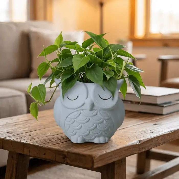 Pot à plantes créatif en céramique en forme de hibou