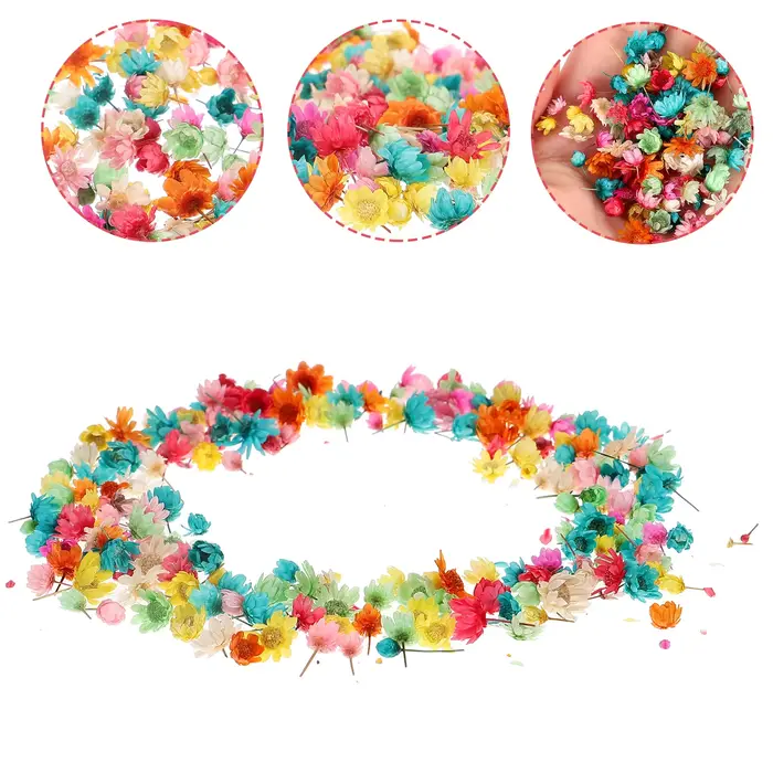 1 sac de fleurs séchées pour bricolage