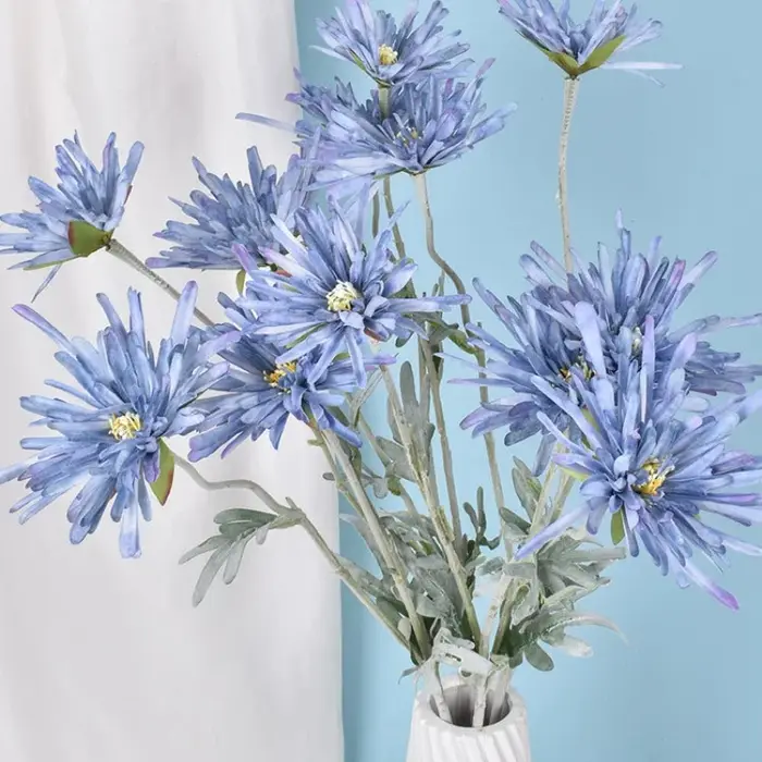 Griffe de crabe chrysanthème