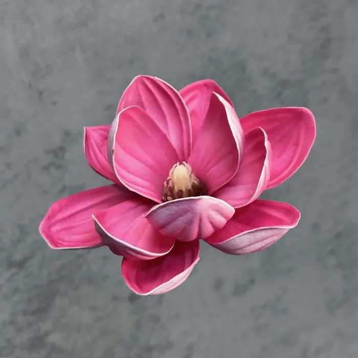 Artificia 20 pièces/lot EVA Magnolia grande fleur tête 13/18CM Dia fleur en soie fleurs de mariage m