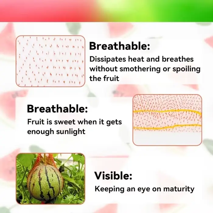 Filet de jardinage robuste en plastique (20/50/100 pièces) pour melons et pastèques
