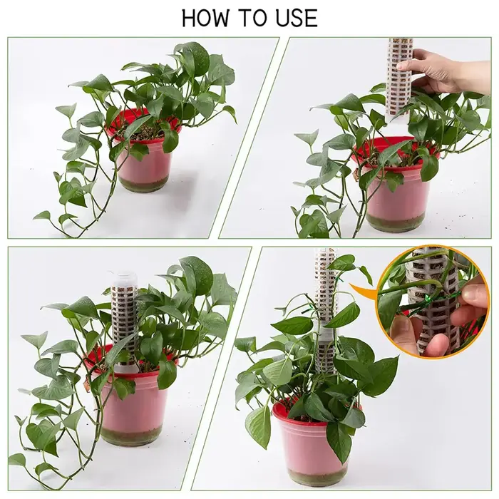 Colonne grimpante en plastique pour plantes