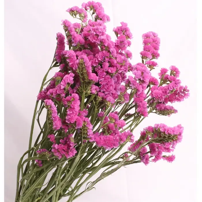 Bouquet de fleurs immortel pour la décoration intérieure