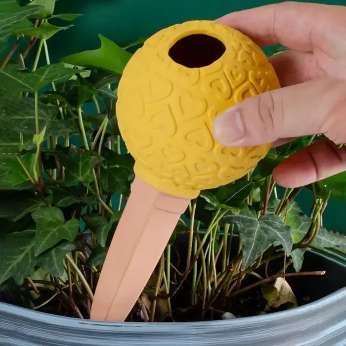 Système de Globes d'arrosage automatique pour plantes