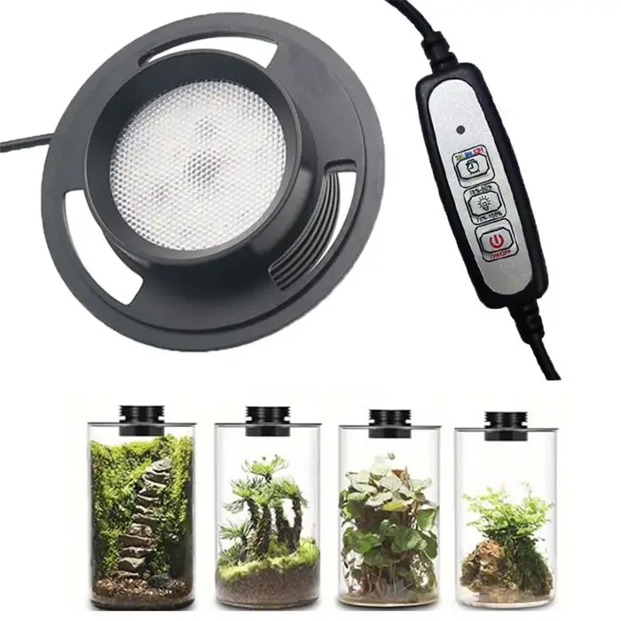 Lampe de culture de plantes Terrarium USB à intensité variable avec minuterie pour Vases, croissance des plantes d'intérieur, paysage de jardinage succulent et Miniature