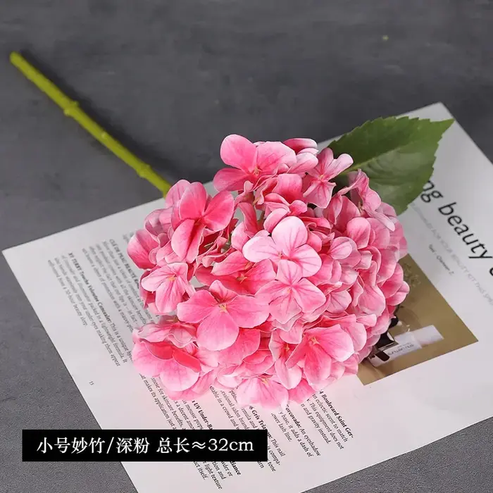 Film d'hortensia en Latex 3D