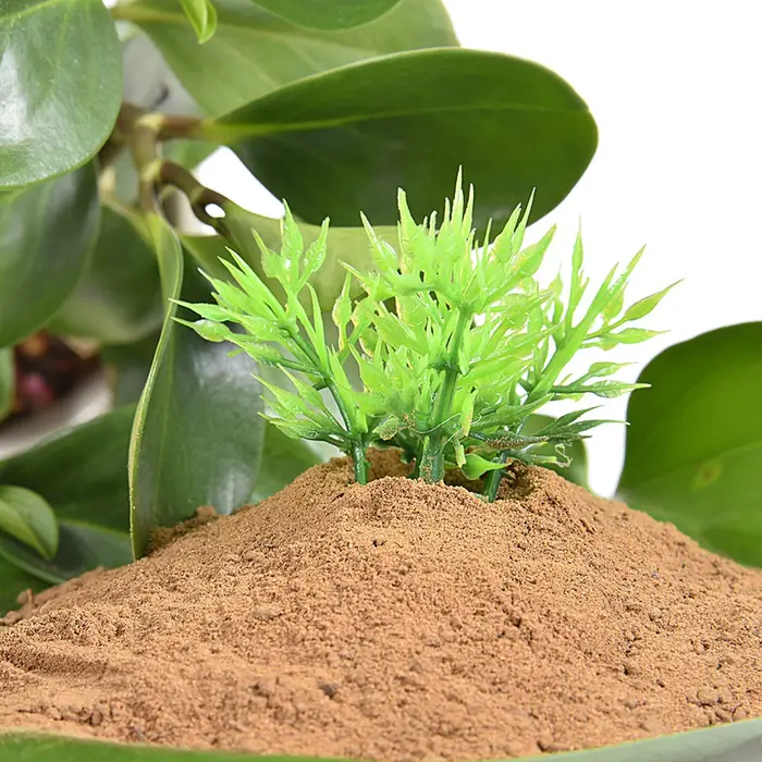 Substrat nutritif pour plantes aquatiques