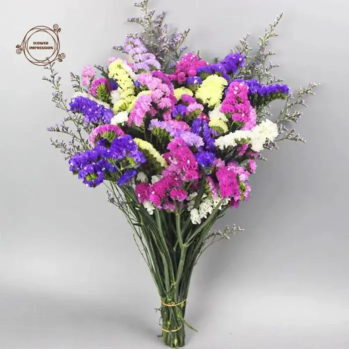 Bouquet de fleurs séchées naturelles