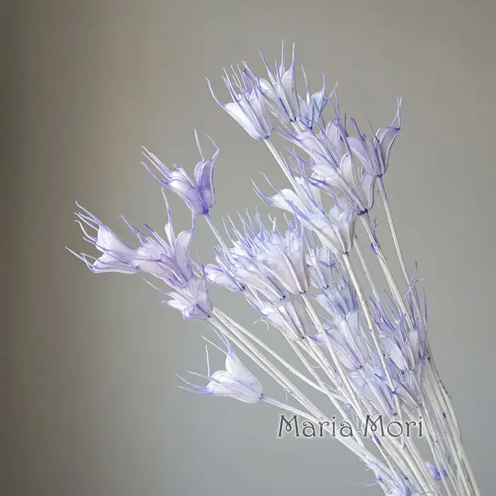 Colorant de fleurs octogonal séché naturel coloré, 35g, pour Art déco botanique, bureau, maison, mat