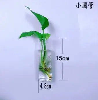 Vase à fleurs mural en verre minimaliste moderne