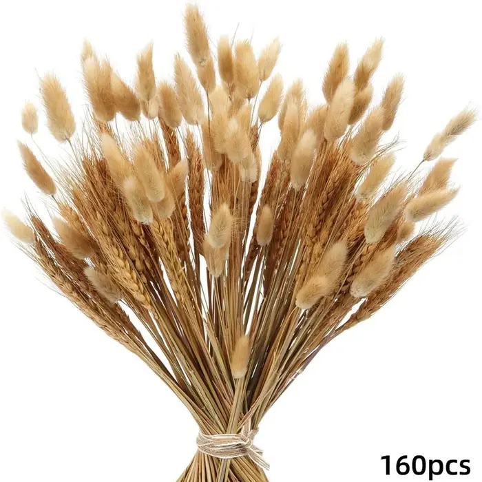 160 Pièces de Fleurs Séchées Naturelles en Épis de Blé pour Décoration Bohème