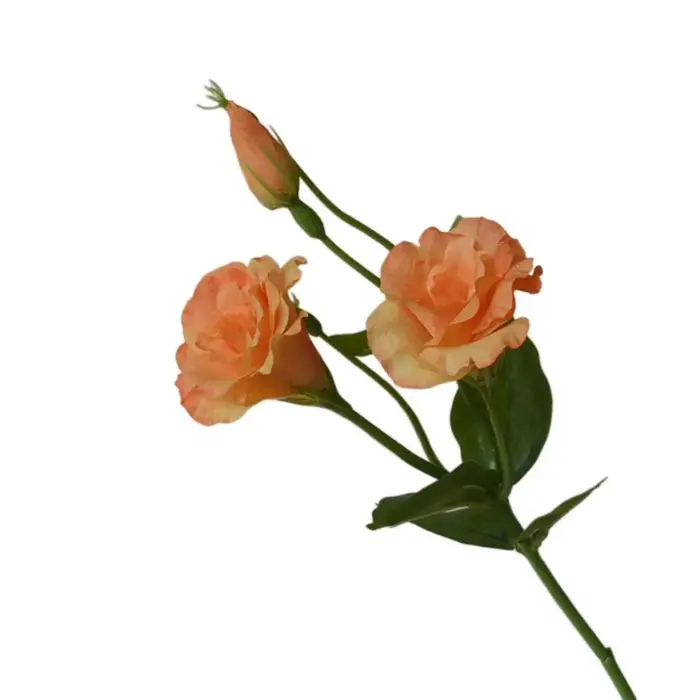 Fleurs artificielles Lisianthus au toucher réel
