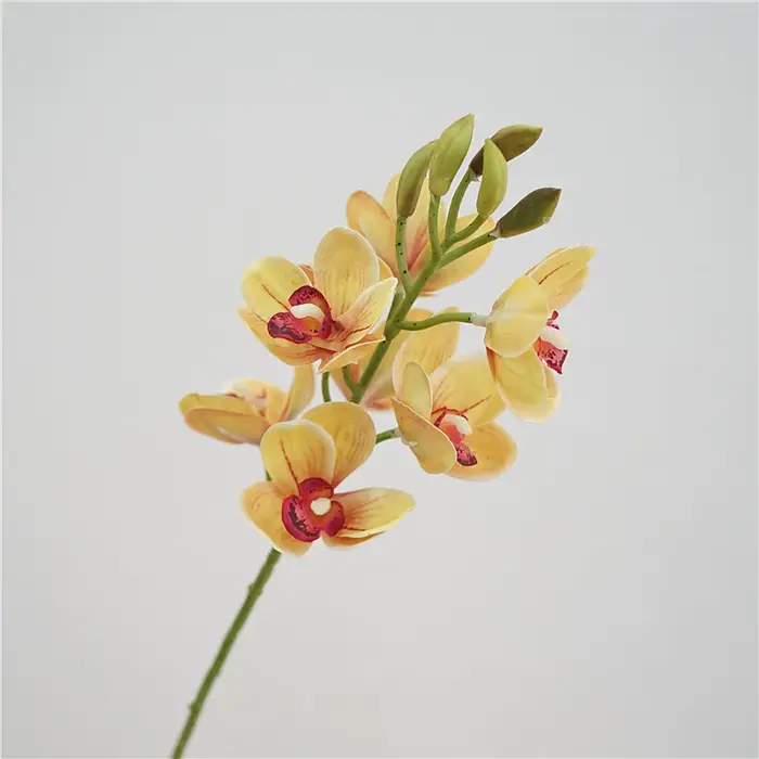 Cymbidium en Latex au Toucher Réel