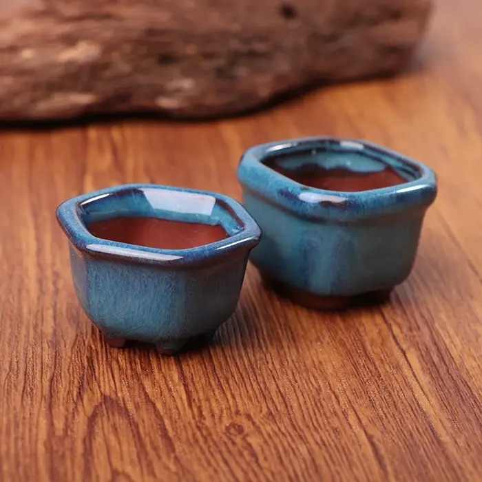 Mini pots de plantes avec trous