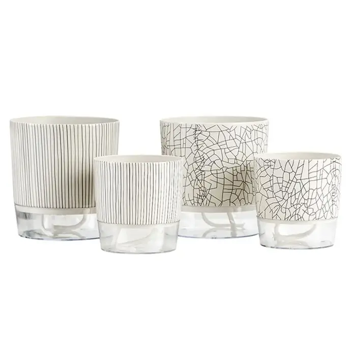 Pot de plantes transparent auto-arrosant, plantes vertes, décoration de bonsaï pour la maison, pot à