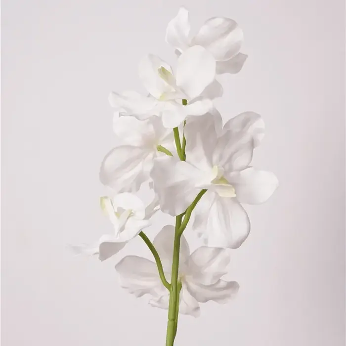 Fleur d'orchidée Vanda artificielle hydratante, 4 pièces/lot, décoration de mariage, fleurs Phalaeno
