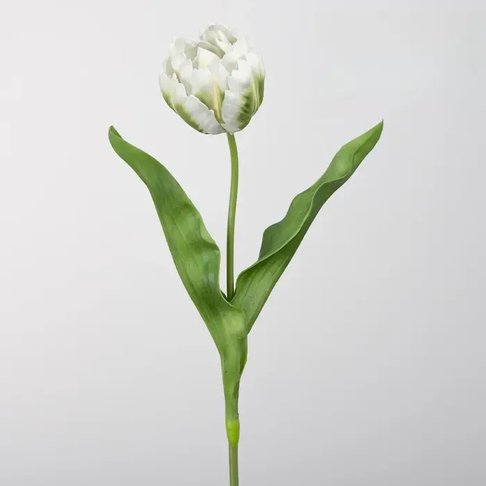 5 pièces de fleurs artificielles de haute qualité, tulipes rouges en forme de perroquet, décoration 
